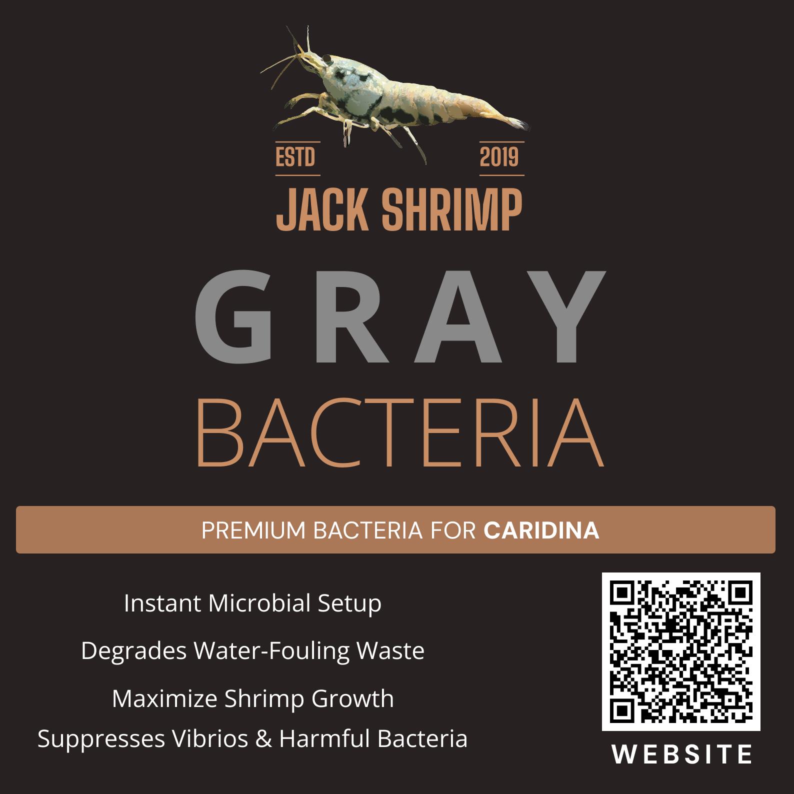 Gray Powder - Vi sinh cao cấp cho tép Caridina (Caridina Bacteria)