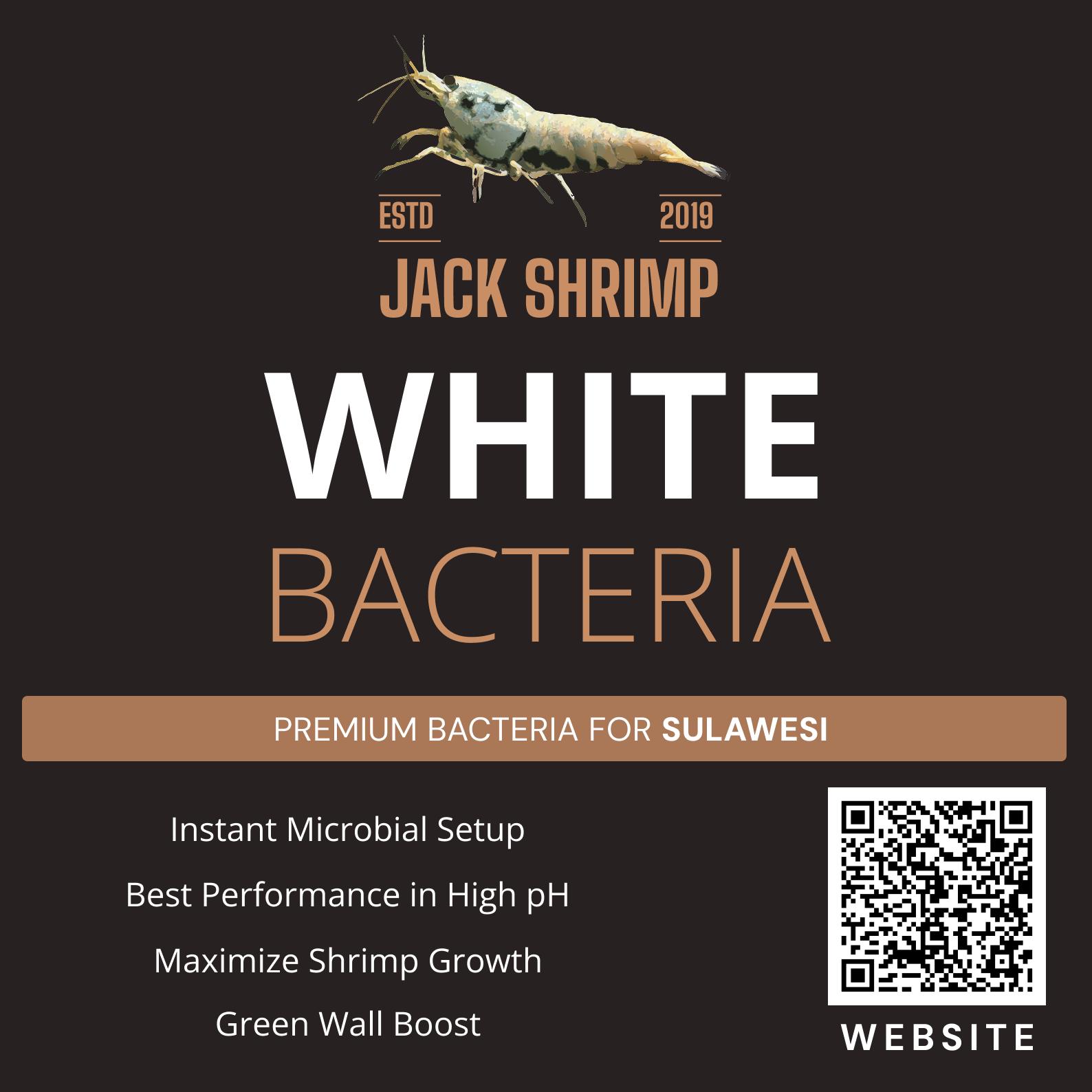 White Powder - Vi sinh chuyên dụng cho tép Sulawesi, siêu mạnh