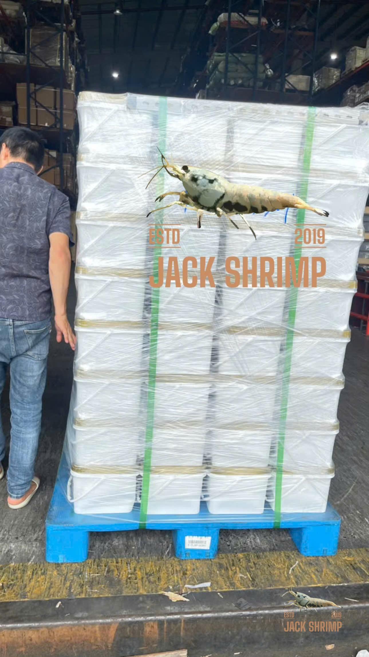 Geilee Soil - Active Buffering Soil for Caridina (Nền đệm acid tép lạnh)