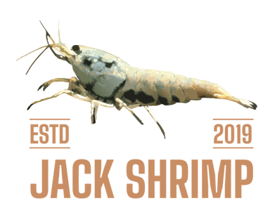 JackShrimp